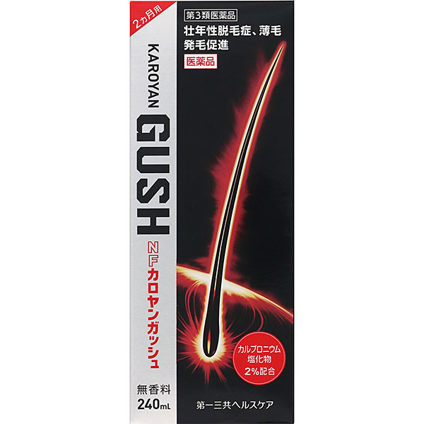 第一三共ヘルスケア ＮＦカロヤンガッシュ　２４０ｍｌ×1パック NFカロヤンガッシュ（240mL）【第3類医薬品】