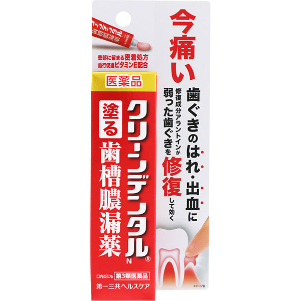 クリーンデンタルＮ(16g)【第3類医薬品】