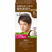 ルシード ワンプッシュケアカラー 5 ナチュラルブラウン 1個 【医薬部外品】