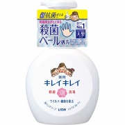 キレイキレイ 薬用泡ハンドソープ シトラスフルーティの香り 本体大型サイズ 500mL【医薬部外品】