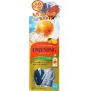 ドライニング 液体タイプ 500mL