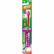 生葉45°磨きブラシ コンパクト ふつう ※色は選べません