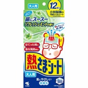 熱さまシート大人用 リフレッシュミントの香り 12枚（2枚×6包）