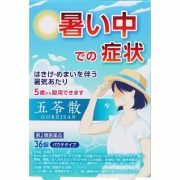 神農五苓散料エキス錠 36錠【第2類医薬品】