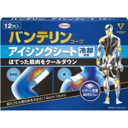 バンテリンコーワアイシングシート 12枚