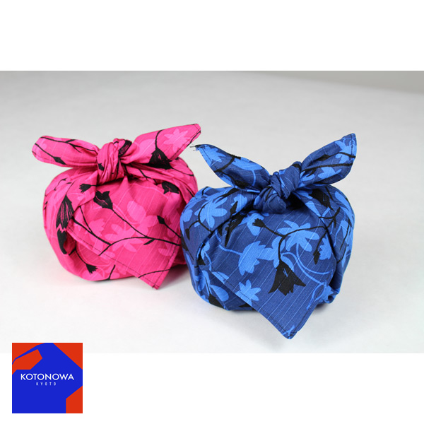 ヘイニ　シニケロ