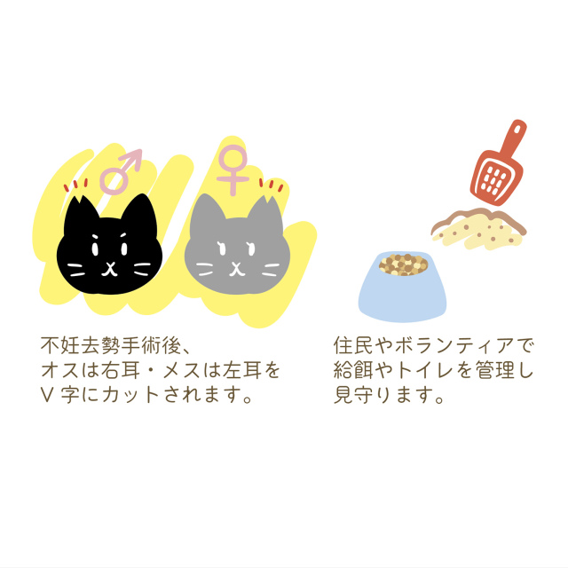 さくらさく様専用 ヴァイオレット猫屋小铺L コスプレ衣装