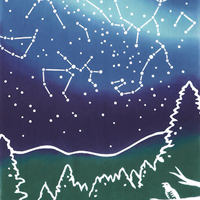 気音間　手ぬぐい　星空キャンプ