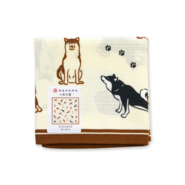 綿小　今日の柴犬