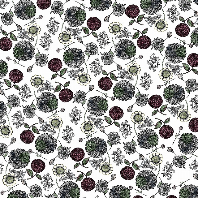 ヘイニ　ミリヤ