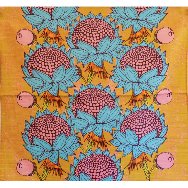 ヘイニ　綿小　ドーラ