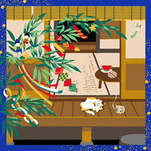 三毛猫みけ　七夕