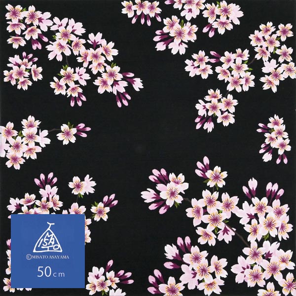 浅山美里　綿小　桜