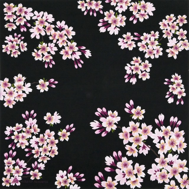 浅山美里　綿小　桜
