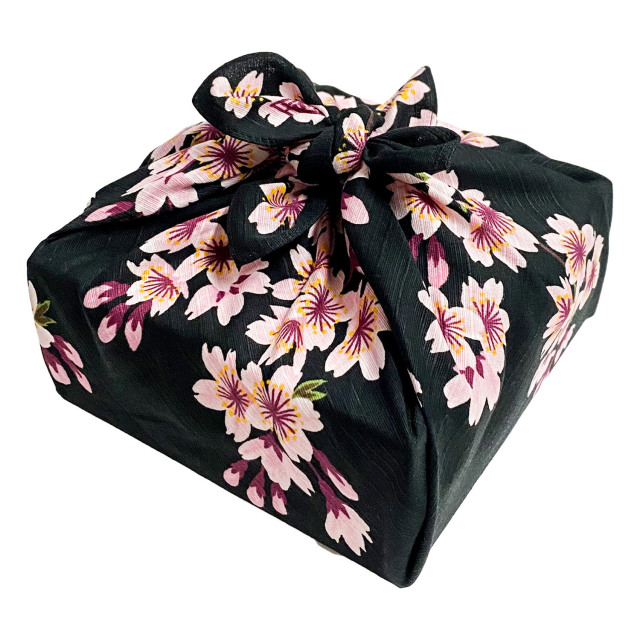 浅山美里　綿小　桜