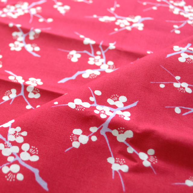 青嵐　梅　イメージ