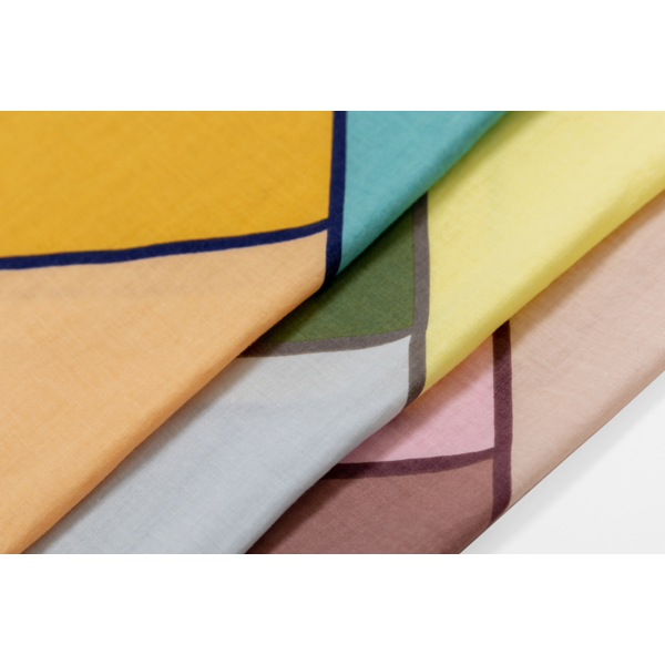 きょうくるみ　ルート