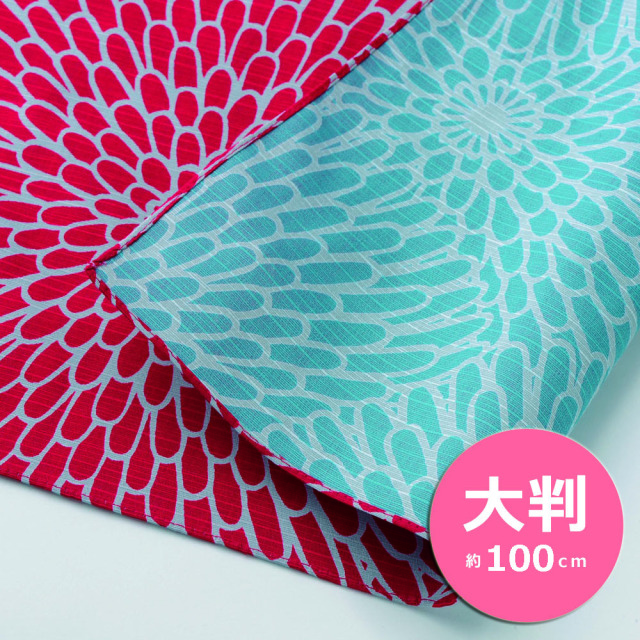 伊佐文様　三巾　菊　アカ