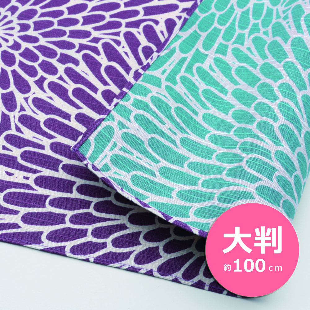 伊佐文様　三巾　菊　ウサウムラサキ