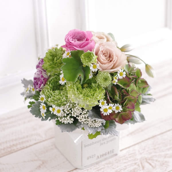 FA50047 アレンジメント