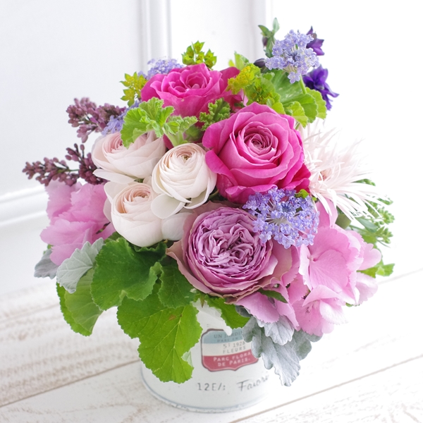 FA50048 アレンジメント