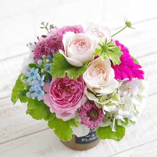 FA50055 アレンジメント