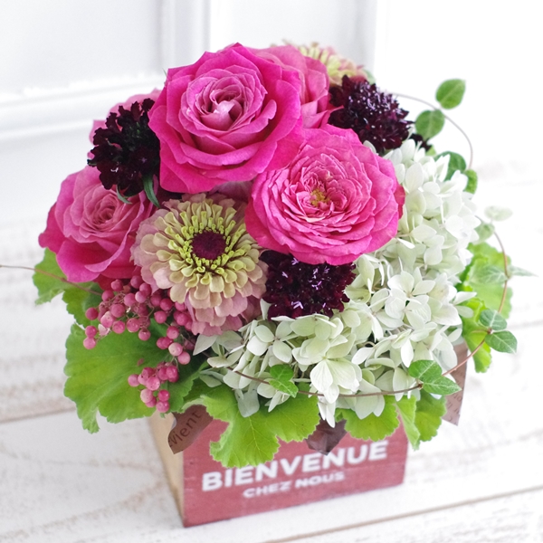 FA50062 アレンジメント