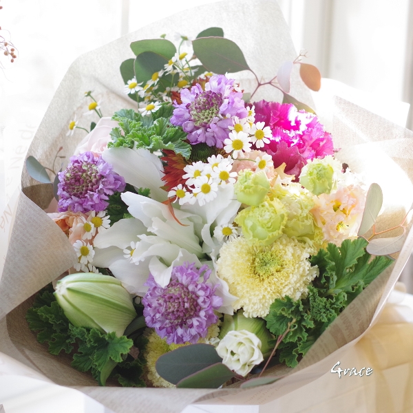 IMGP6043_8000.jpg