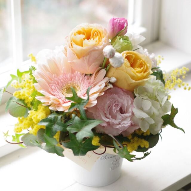 IMGP0591_5000a
