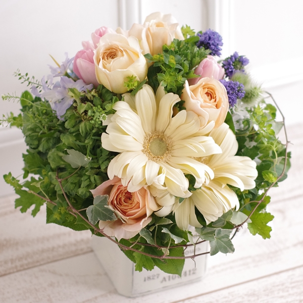 FA50041 アレンジメント