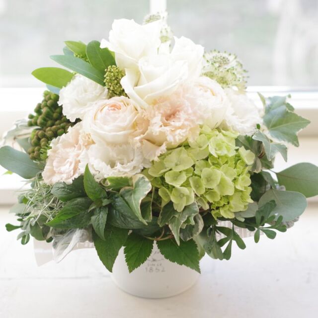 IMGP2957_6500b.JPG