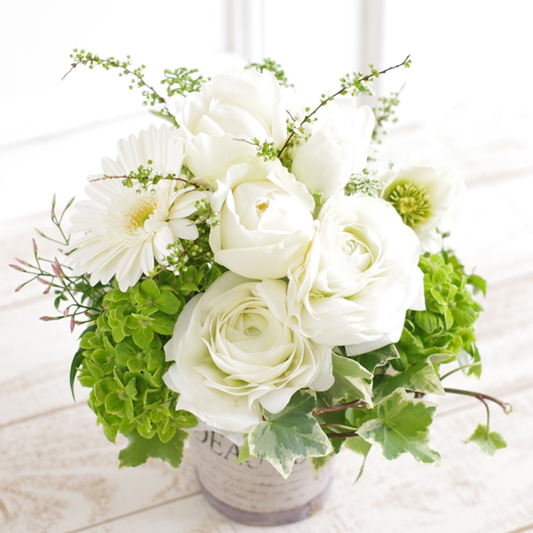IMGP8560_3500
