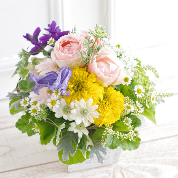 IMGP9567_4000