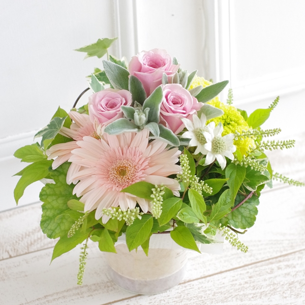 IMGP9839_3500