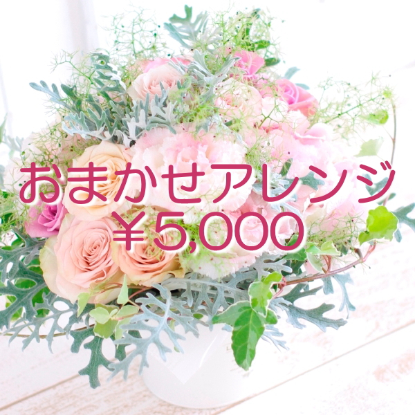 OmakaseA5000.jpg