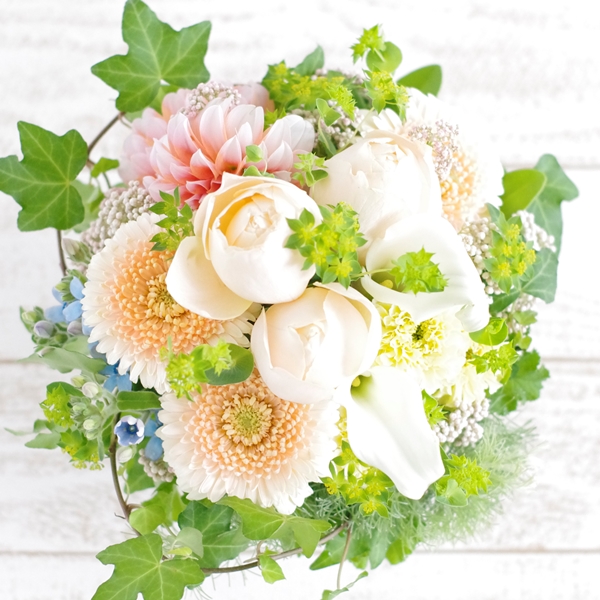 _IGP7479_5000a3.jpg