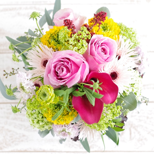 _IGP7804_5000a3.jpg