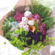 IMGP4780.JPG