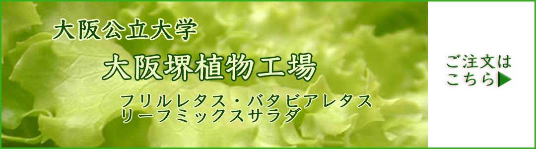 大阪公立大学工場野菜
