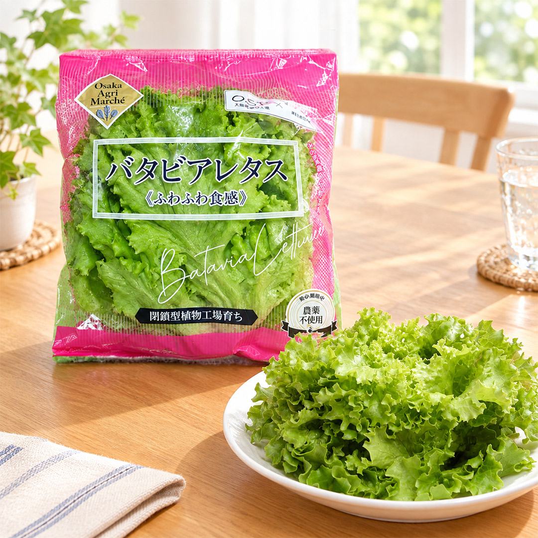 大阪堺植物工場バタビアレタス