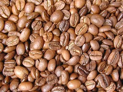 島野珈琲株式会社のコーヒー豆