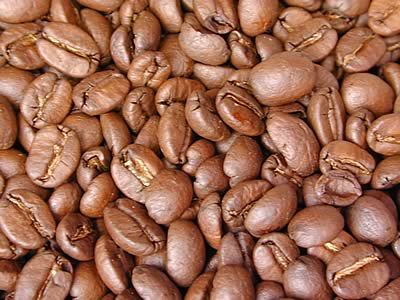 島野珈琲株式会社