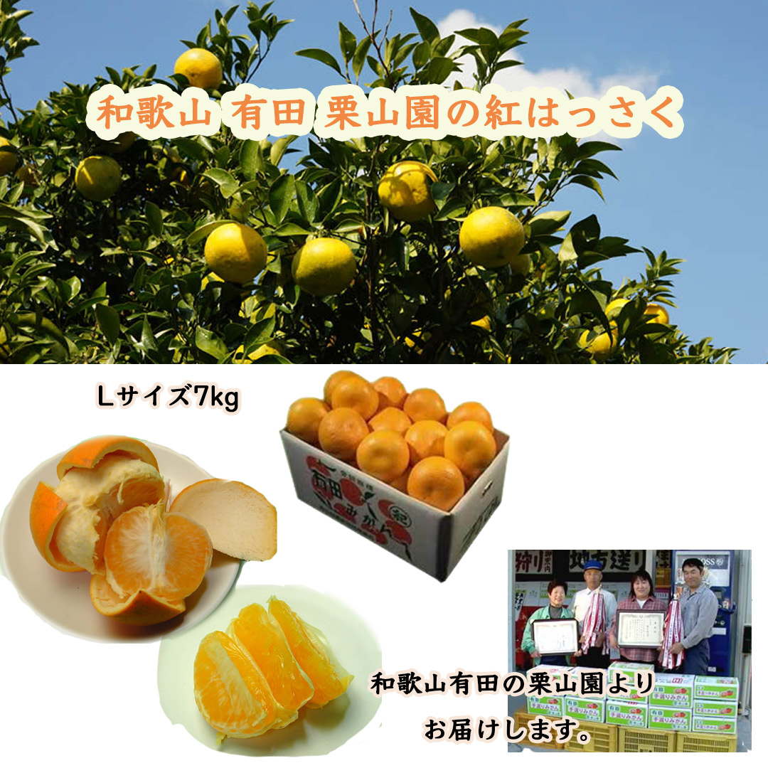 和歌山有田栗山園の紅はっさく