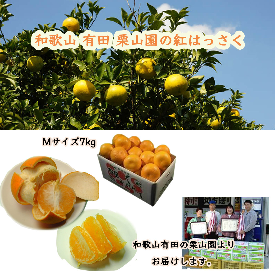 和歌山有田栗山園の紅はっさく