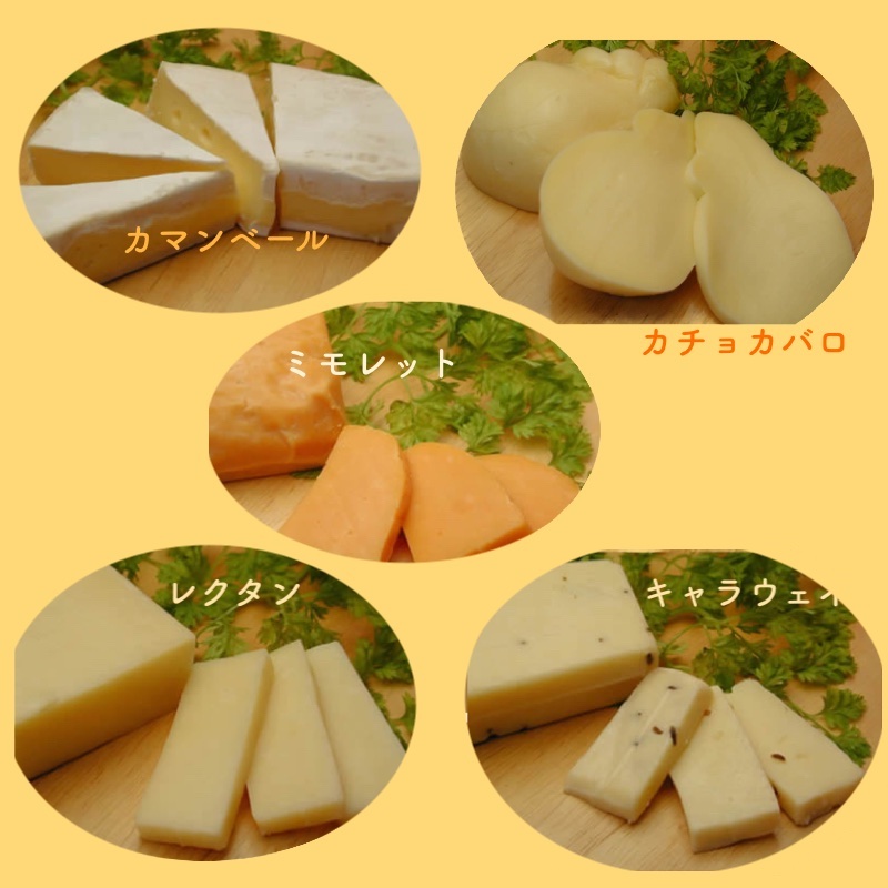 おおともチーズ工房５種セット