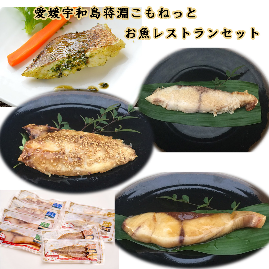 愛媛宇和島_淵こもねっと