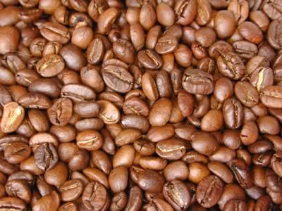 島野珈琲株式会社のコーヒー豆