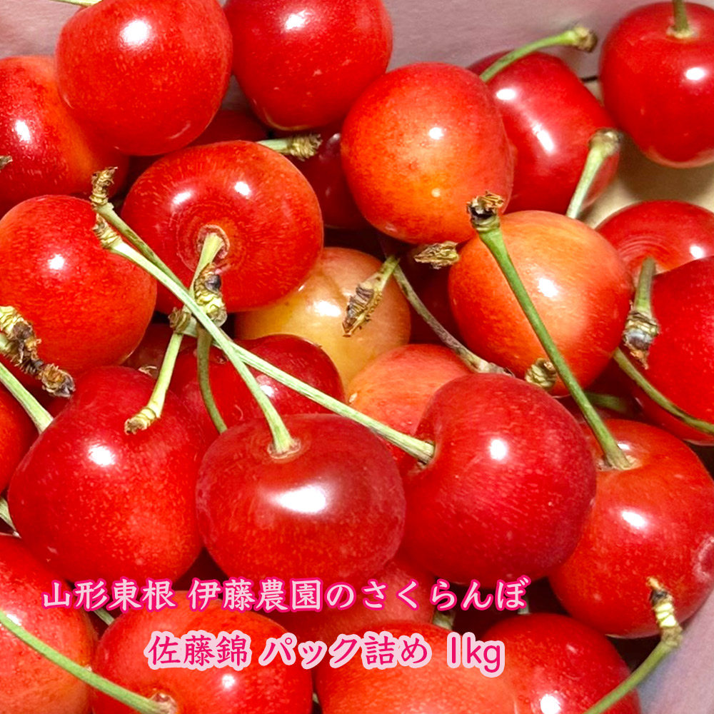 さくらんぼ佐藤錦1kg