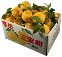 栗山園のみかん・オレンジ