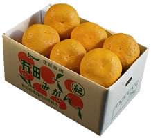 栗山園の春柑橘